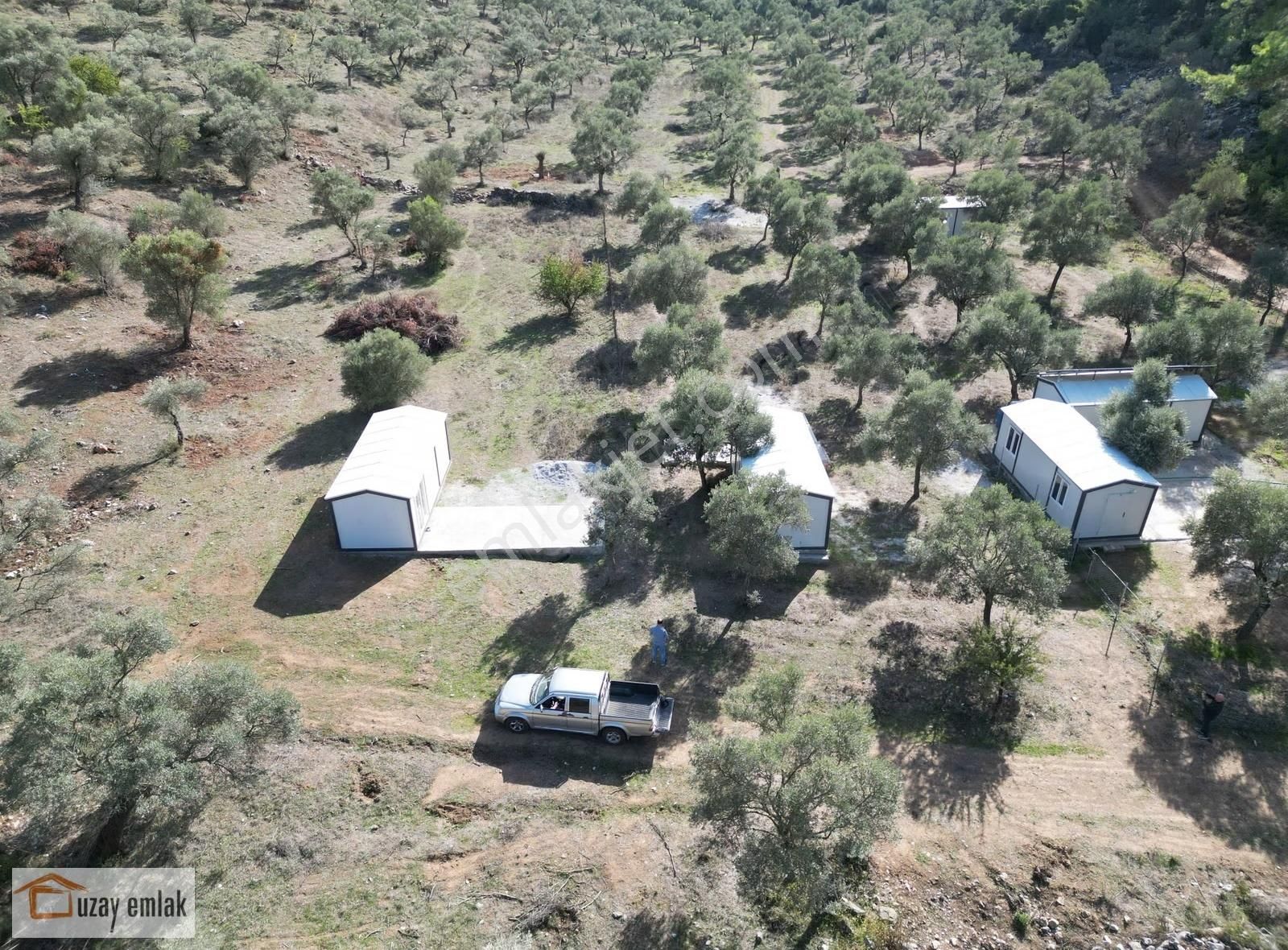 Milas Gürçamlarda Satılık 1042 M2 Zeytinli Tarla - Görsel 13