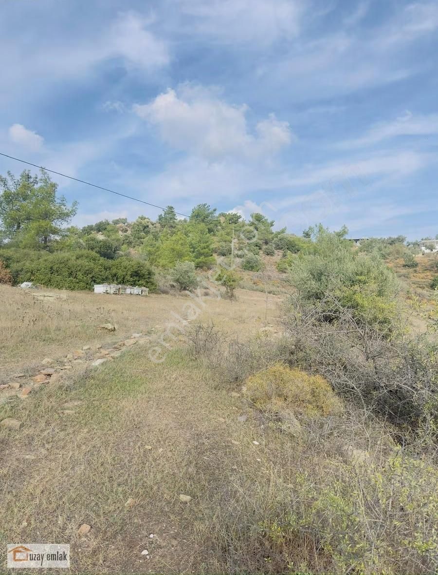 Milas Kuzyaka Mahallesinde Satılık Tarla - Görsel 10