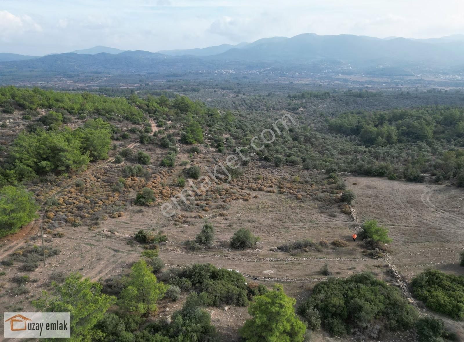 Milas Kuzyaka Mahallesinde Satılık Tarla - Görsel 7