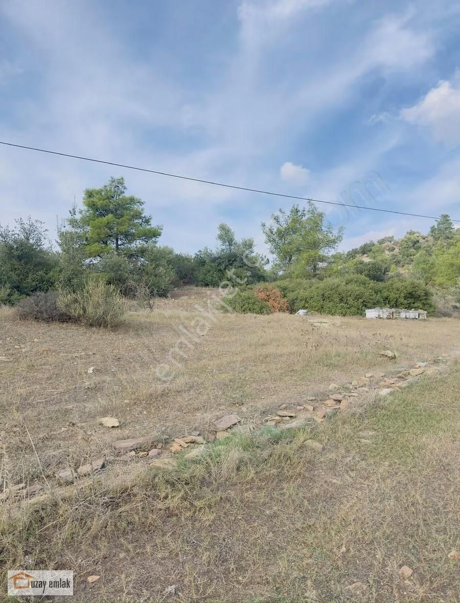 Milas Kuzyaka Mahallesinde Satılık Tarla - Görsel 3