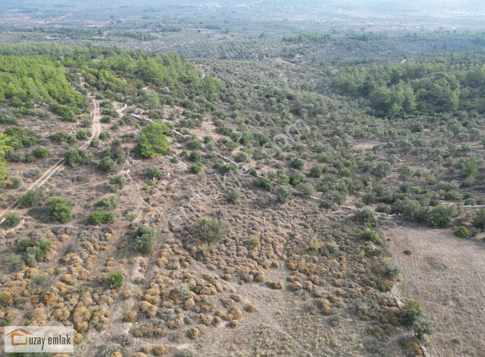 Milas Kuzyaka Mahallesinde Satılık Tarla - Görsel 2