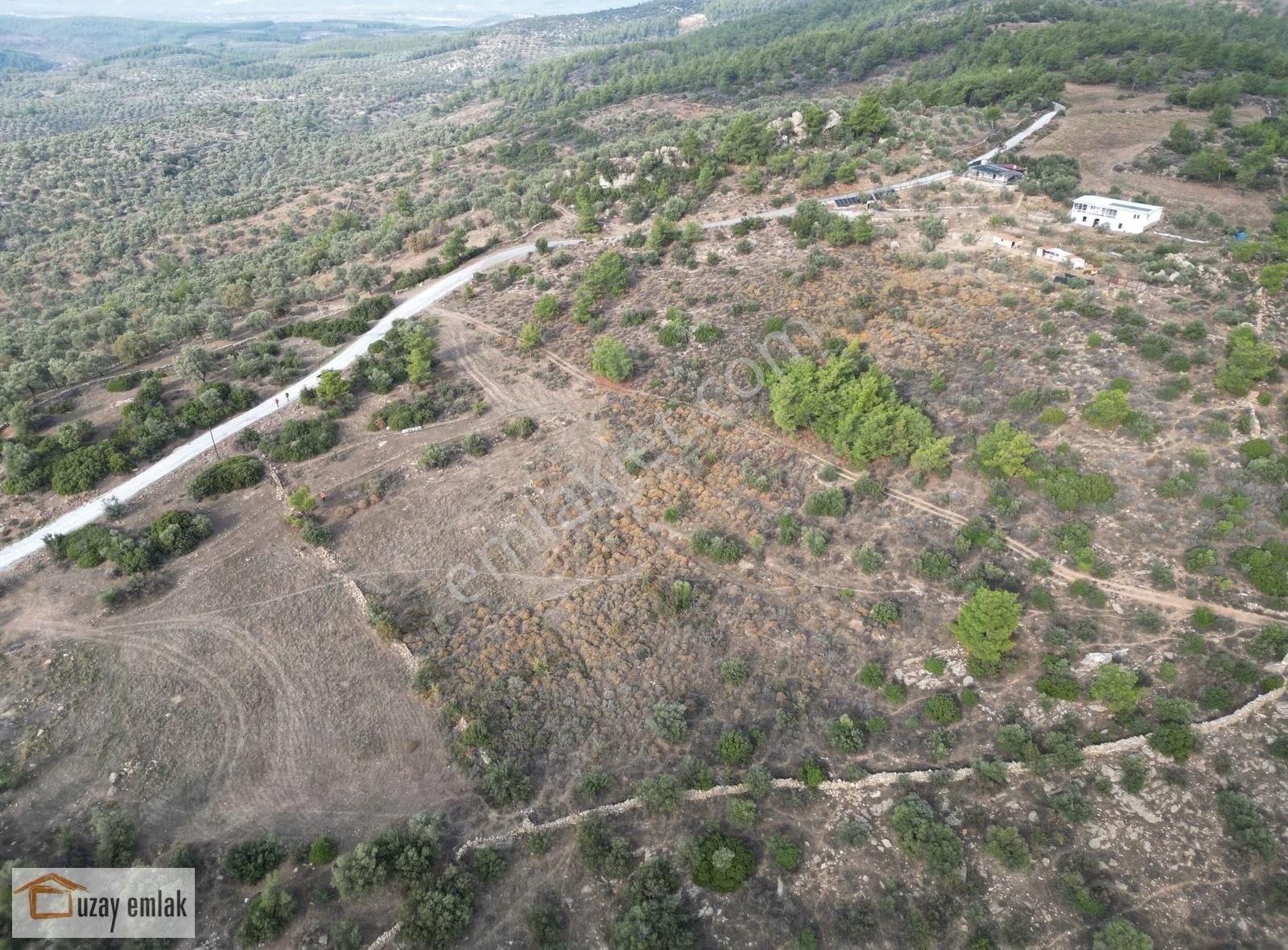 Milas Kuzyaka Mahallesinde Satılık Tarla - Görsel 20