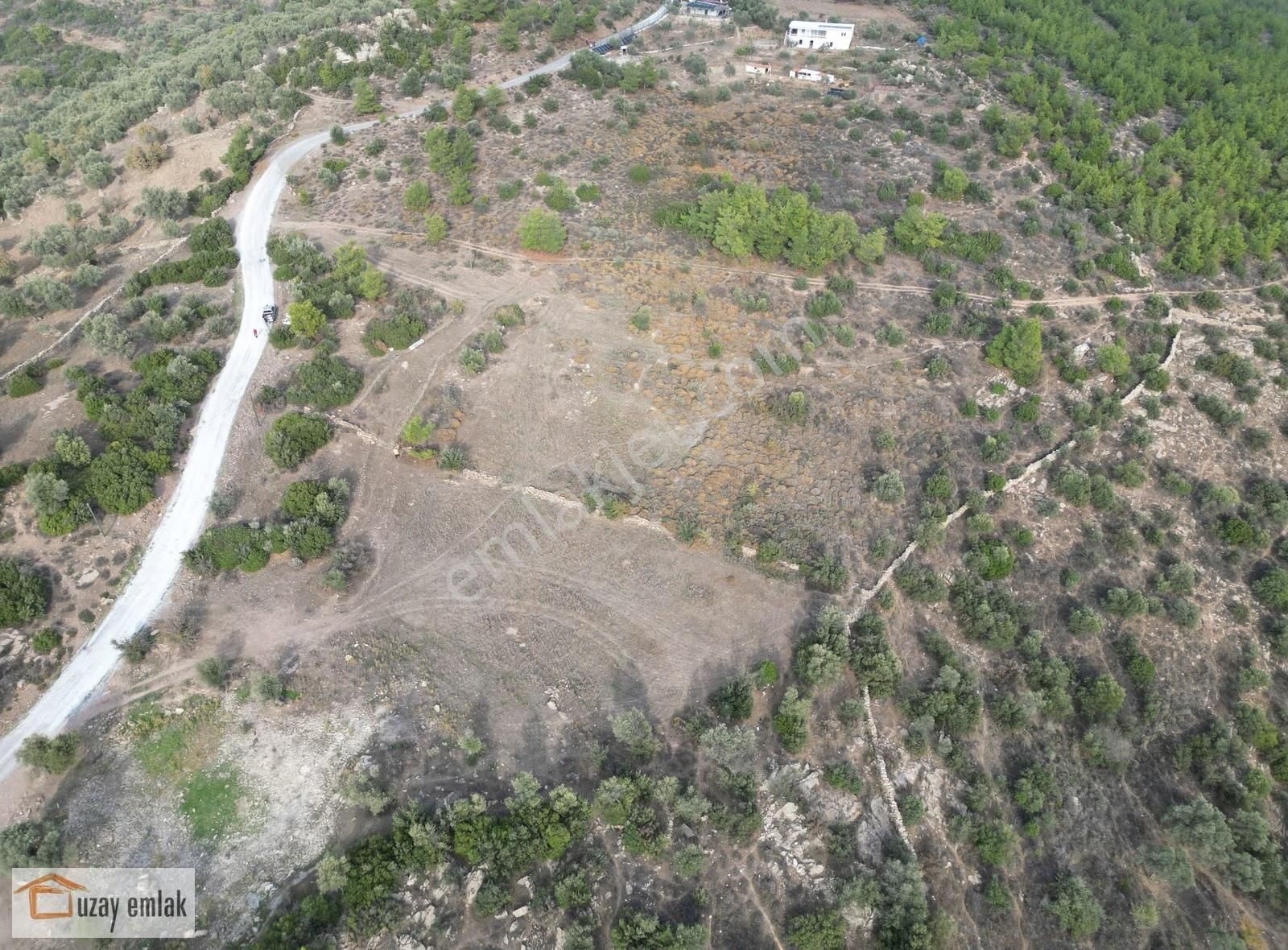 Milas Kuzyaka Mahallesinde Satılık Tarla - Görsel 21