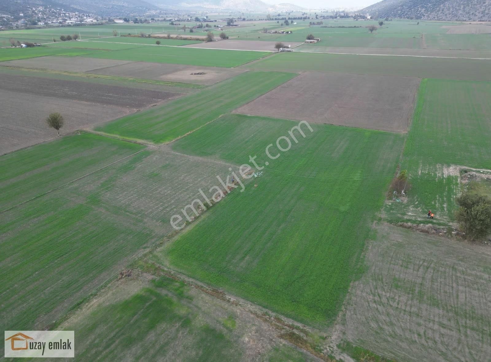 Milas Ovakışlacık'da Satılık Tarla - Görsel 5