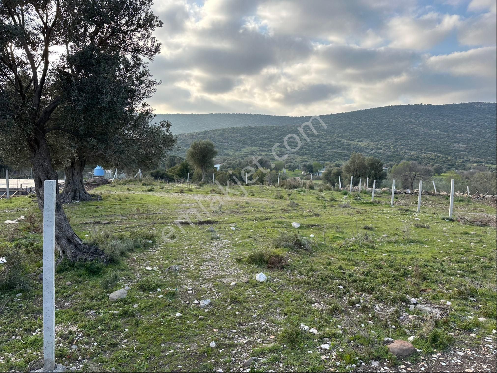 Elektrik Ve Suyu Var