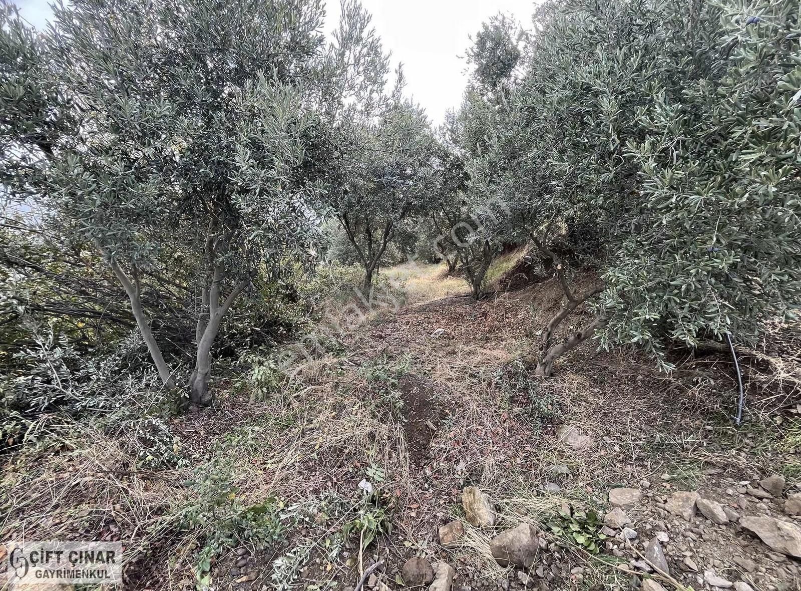 Allahdiyen' De Salihli Manzaralı Doğa İçinde Villa - Görsel 23