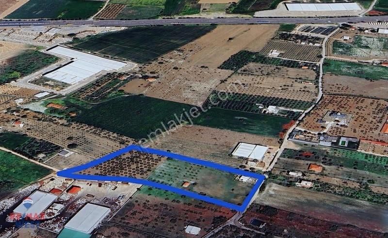 Kemalpaşa Armutlu'da Fabrikalar Bölgesinde Fırsat Arazi - Görsel 8