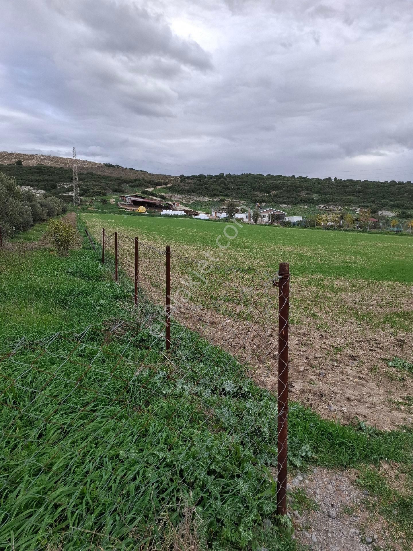 Foça Gerenköyde - Görsel 13