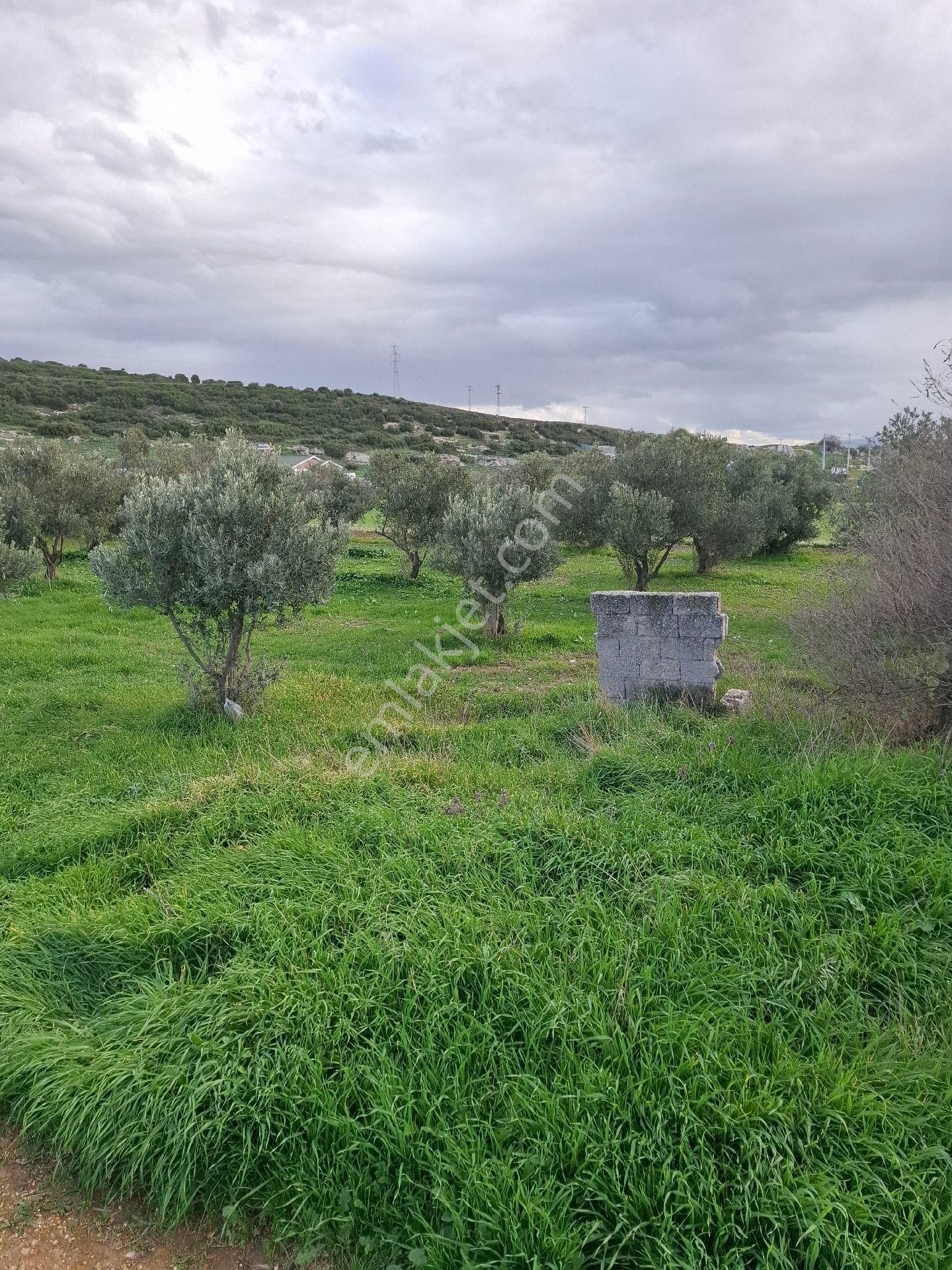 Foça Gerenköyde - Görsel 29