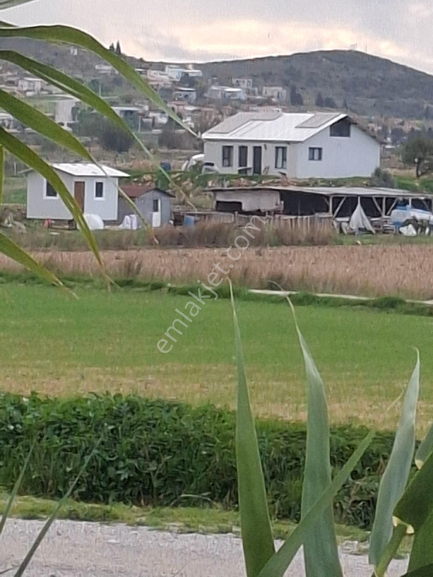 Foça Gerenköyde - Görsel 4