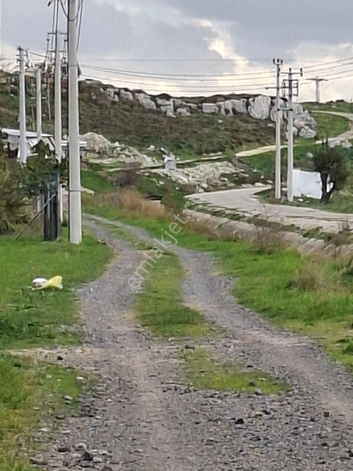 Foça Gerenköyde - Görsel 3