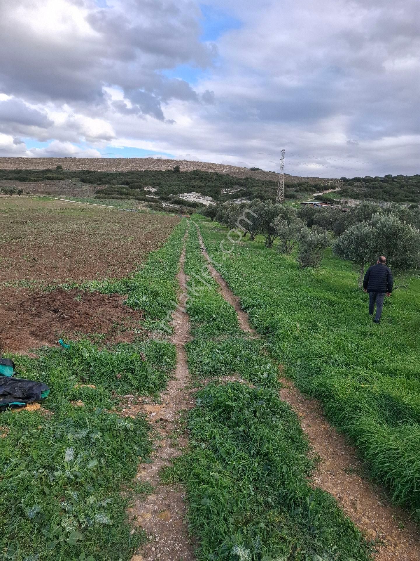 Foça Gerenköyde - Görsel 33