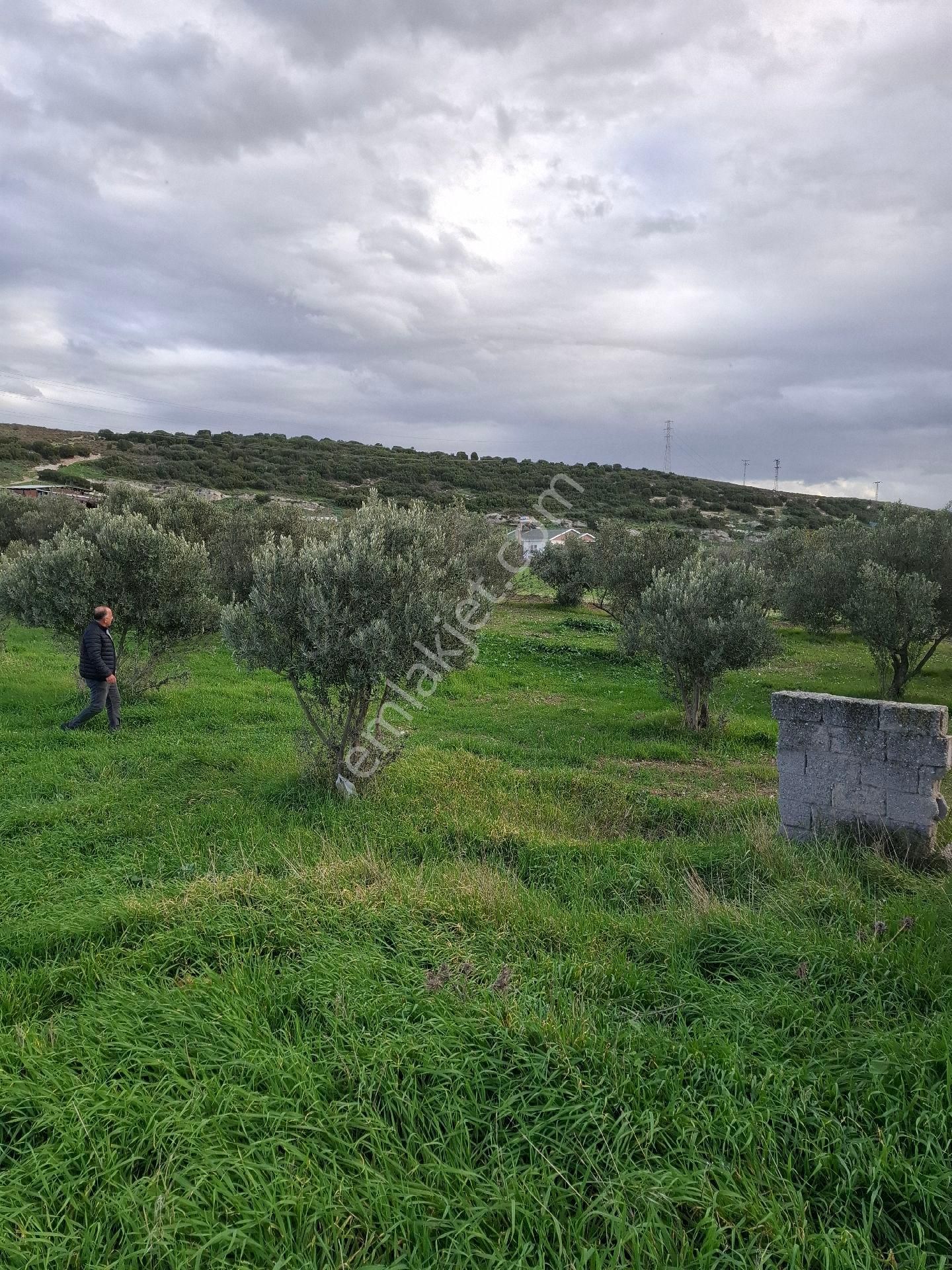 Foça Gerenköyde - Görsel 30