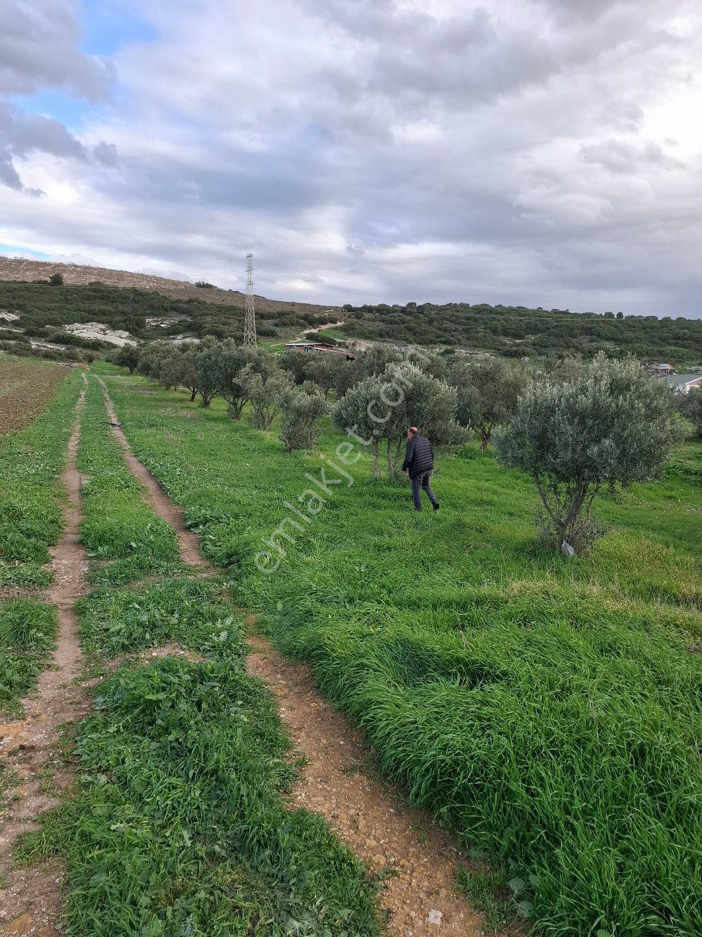 Foça Gerenköyde - Görsel 32