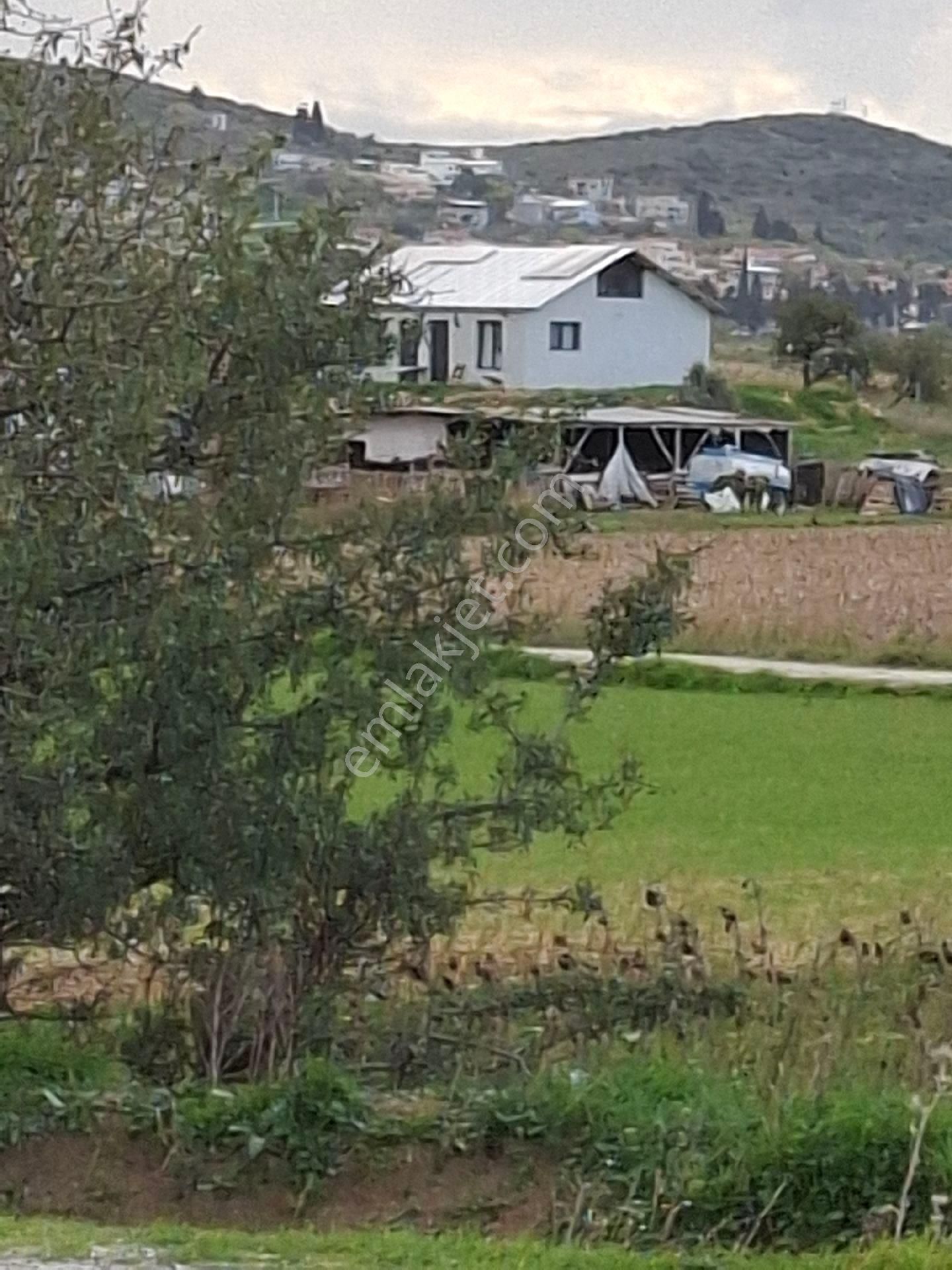 Foça Gerenköyde - Görsel 17