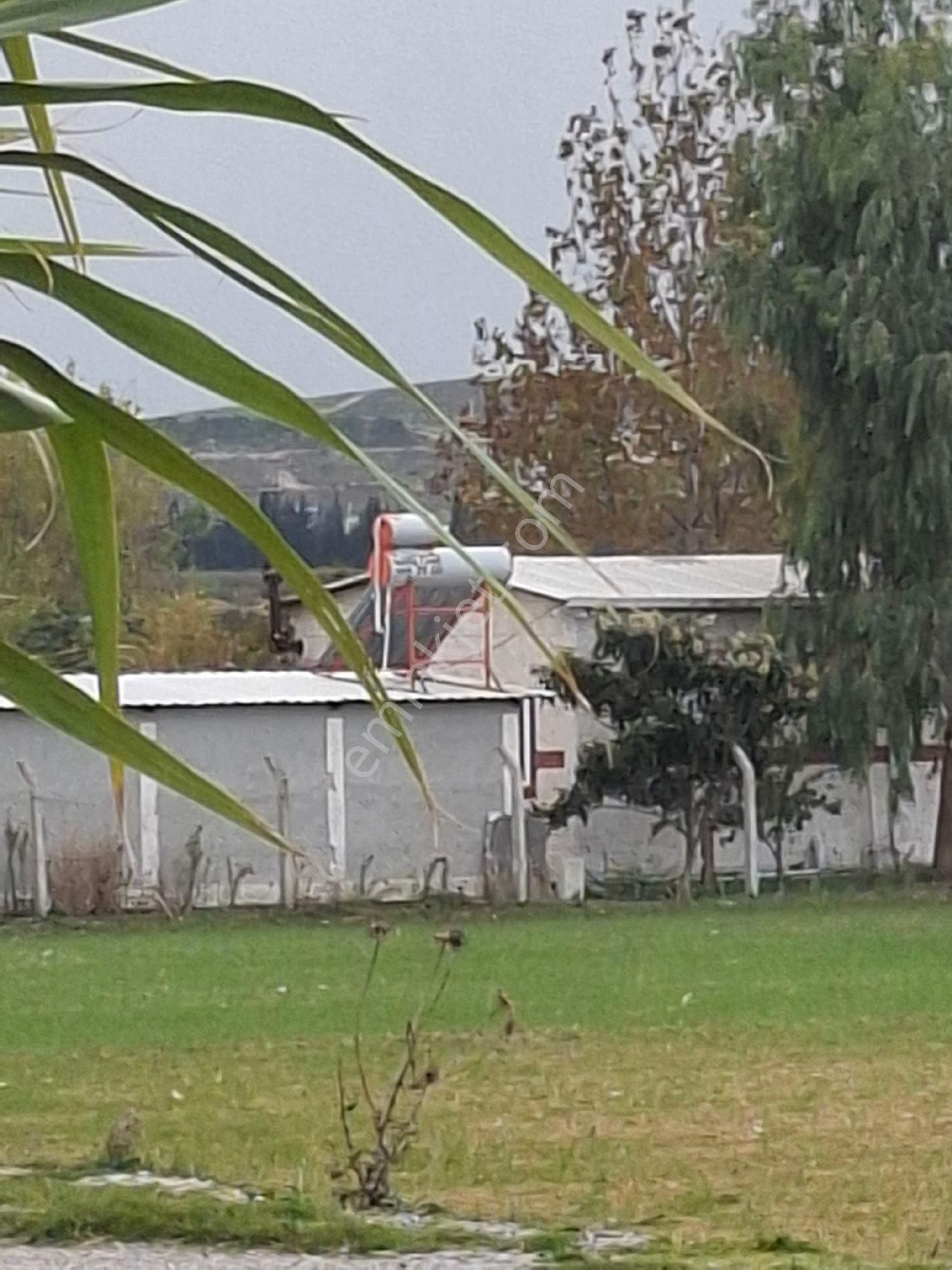 Foça Gerenköyde - Görsel 2