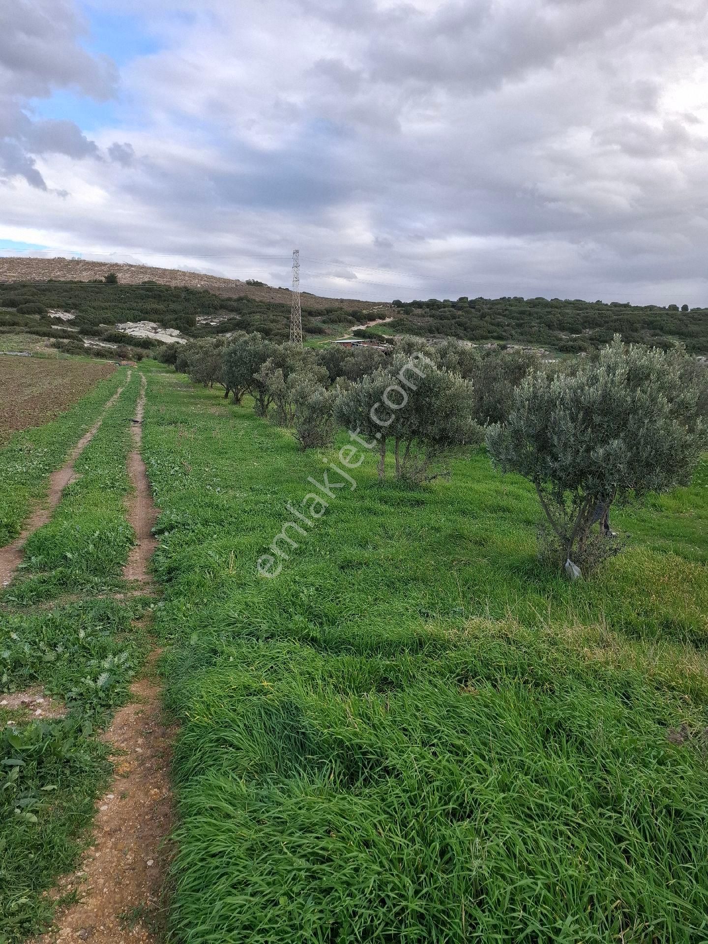 Foça Gerenköyde - Görsel 31