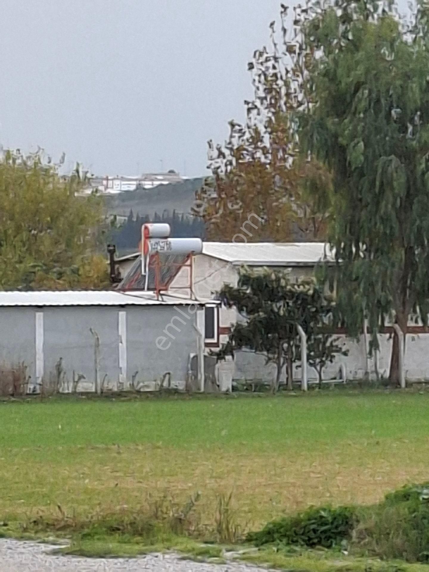 Foça Gerenköyde - Görsel 6