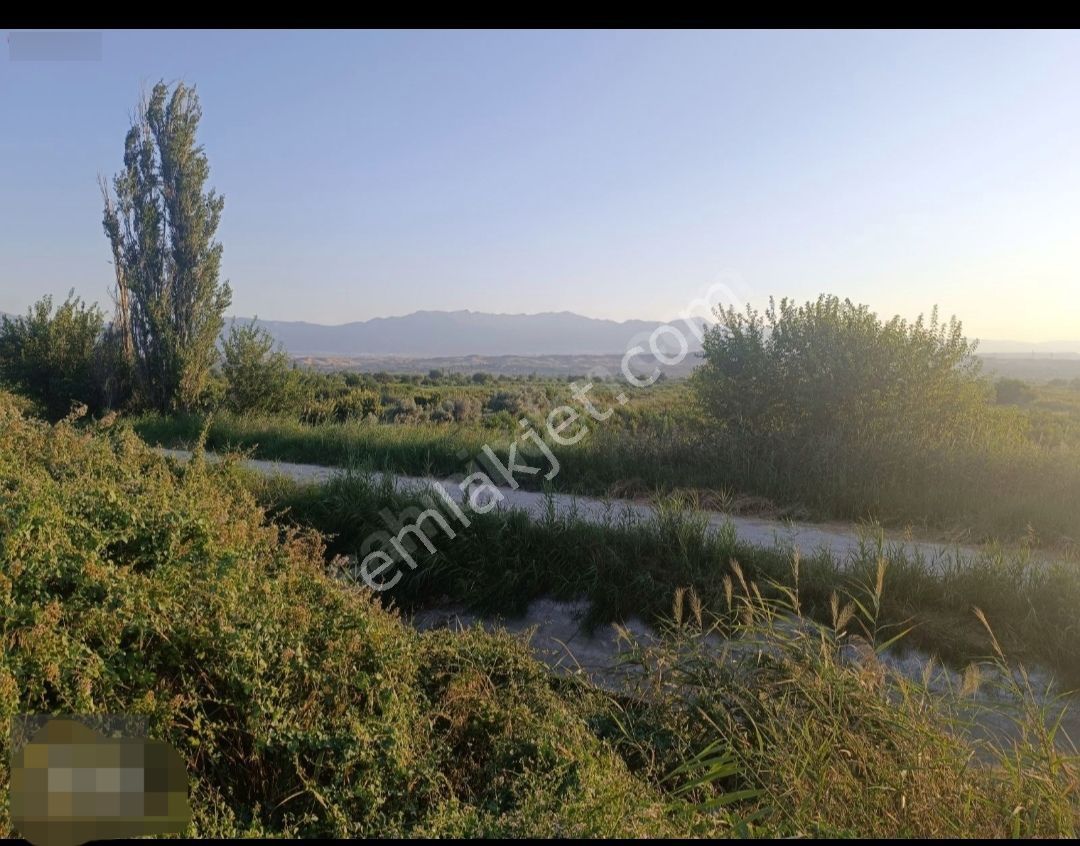 Denizli Pamukkale Yeniköy De 7250 M2 Tarla - Görsel 4