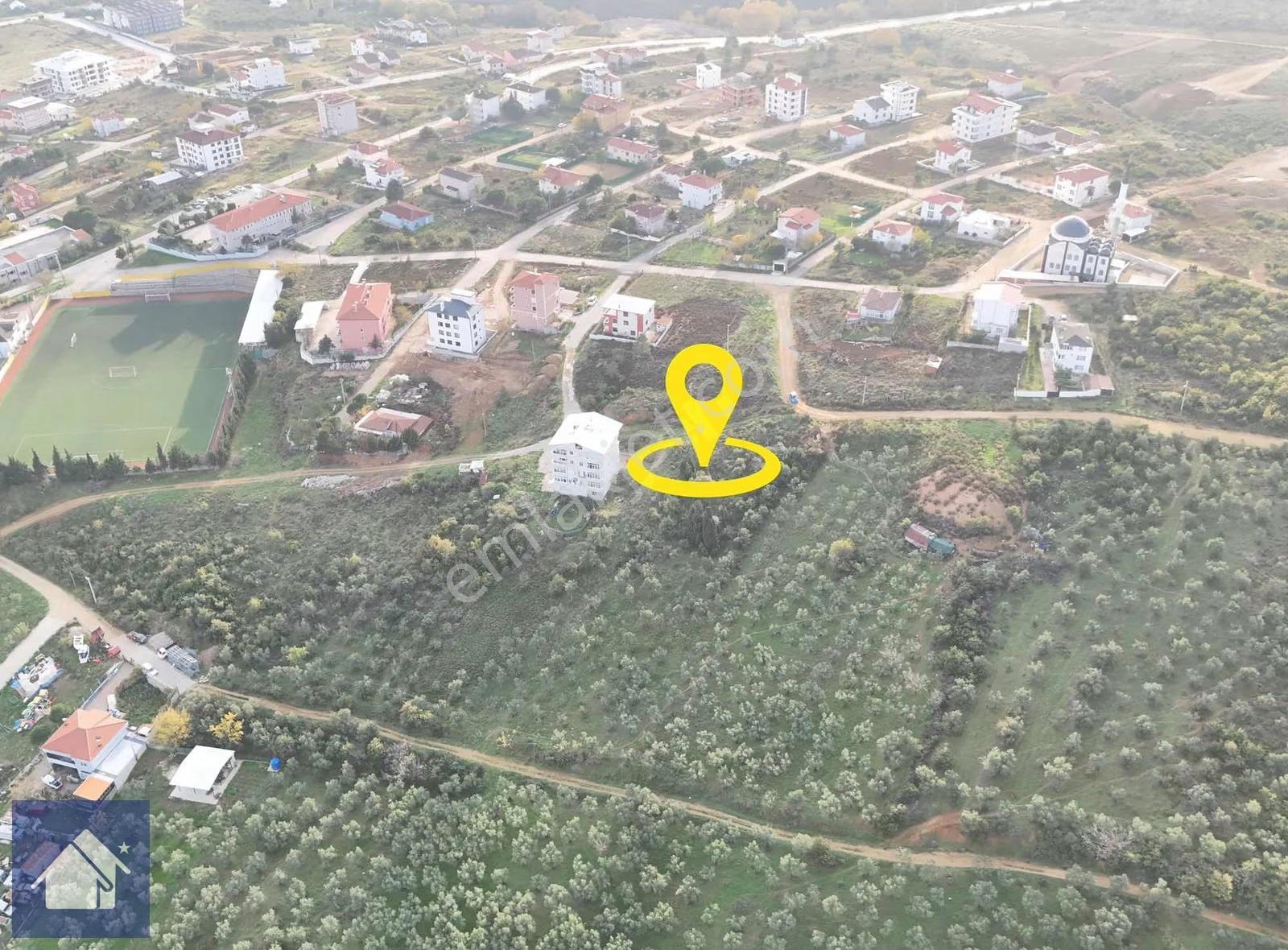 *yiğit Emlak Armutlu'dan*1337 M2*5 Kat %32,5 Konut İmarlı Arsa - Görsel 6