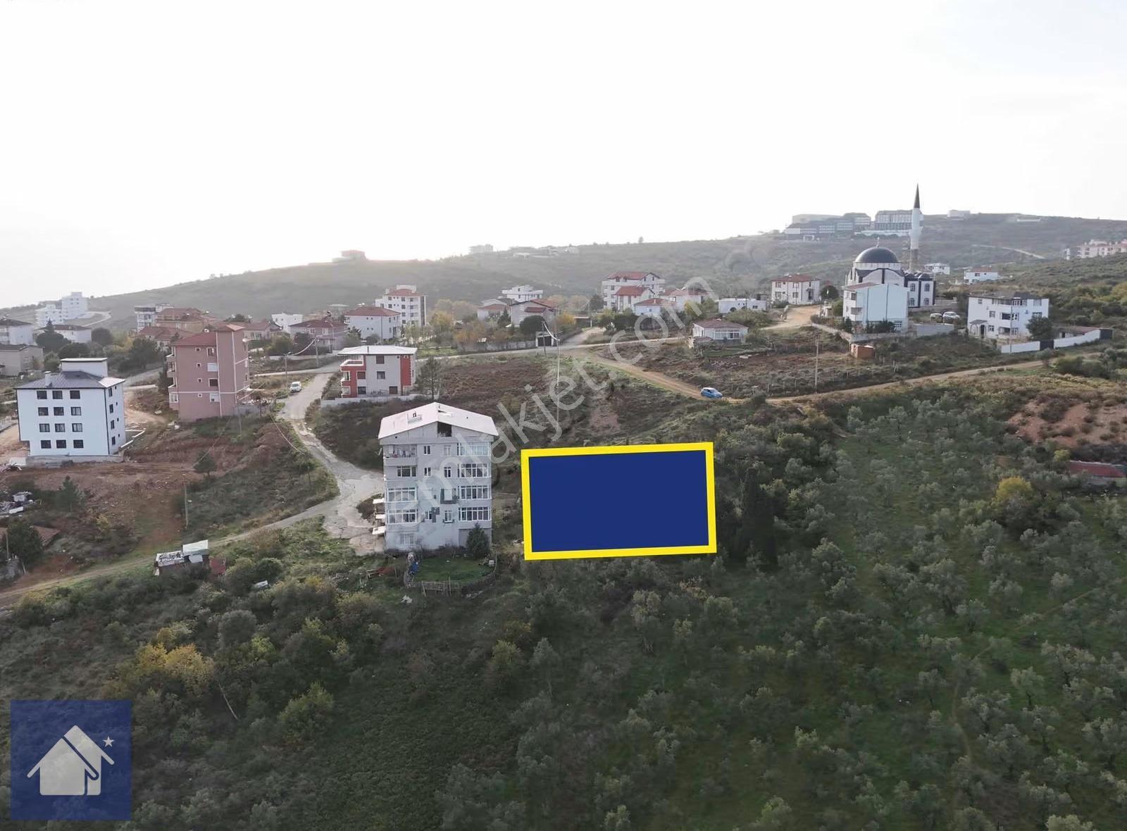 *yiğit Emlak Armutlu'dan*1337 M2*5 Kat %32,5 Konut İmarlı Arsa - Görsel 7