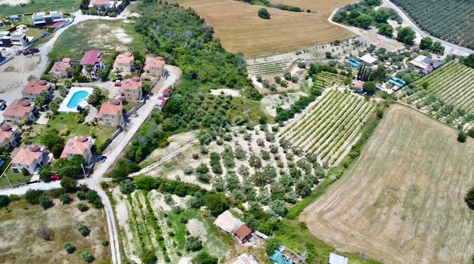 Karaova Yan Yana İki Tapu Elektrik Su Mevcut Denizmanzara Zeytin Üzüm İncir Köy Evi Bulunan Arsa - Görsel 16