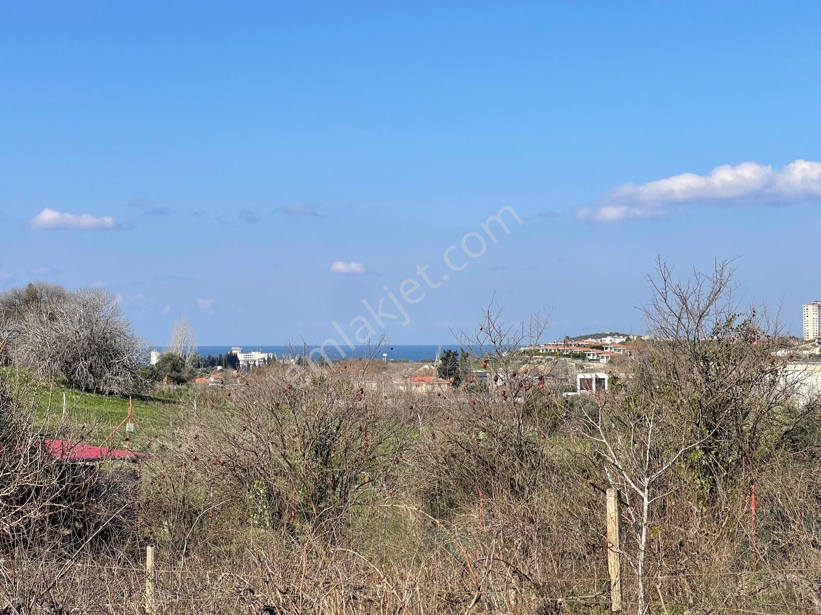Karaova Yan Yana İki Tapu Elektrik Su Mevcut Denizmanzara Zeytin Üzüm İncir Köy Evi Bulunan Arsa - Görsel 7