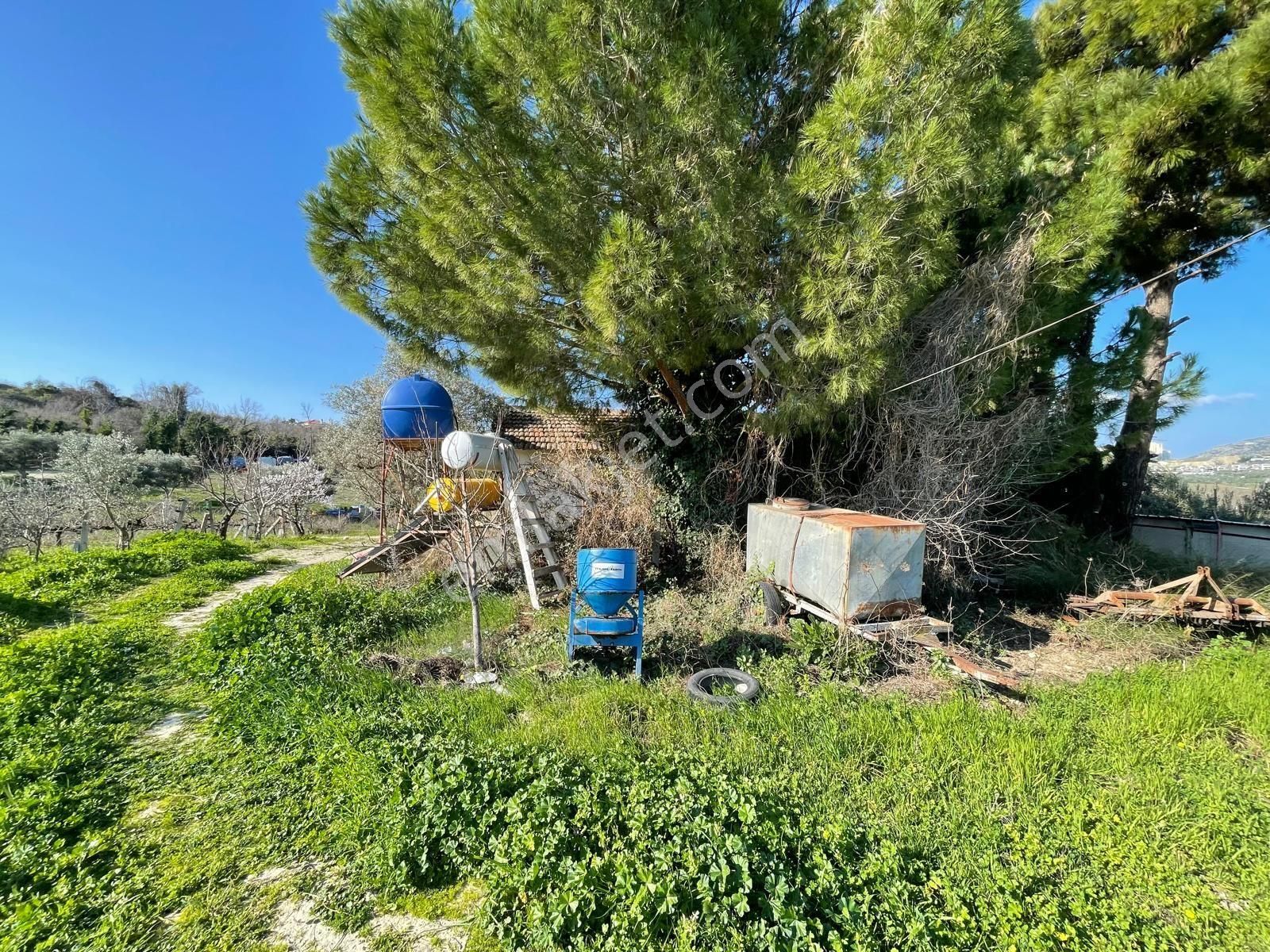 Karaova Yan Yana İki Tapu Elektrik Su Mevcut Denizmanzara Zeytin Üzüm İncir Köy Evi Bulunan Arsa