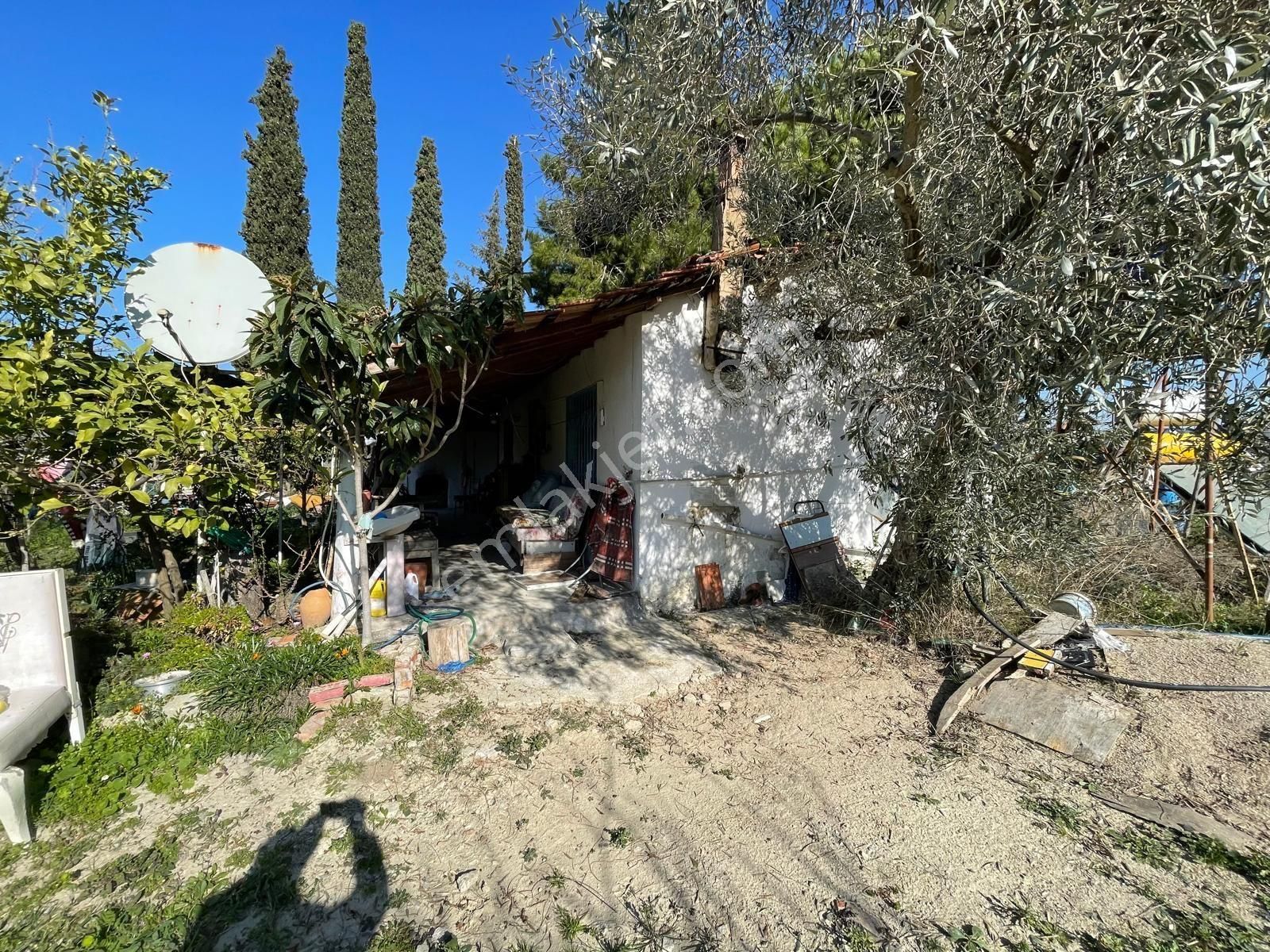 Karaova Yan Yana İki Tapu Elektrik Su Mevcut Denizmanzara Zeytin Üzüm İncir Köy Evi Bulunan Arsa - Görsel 12