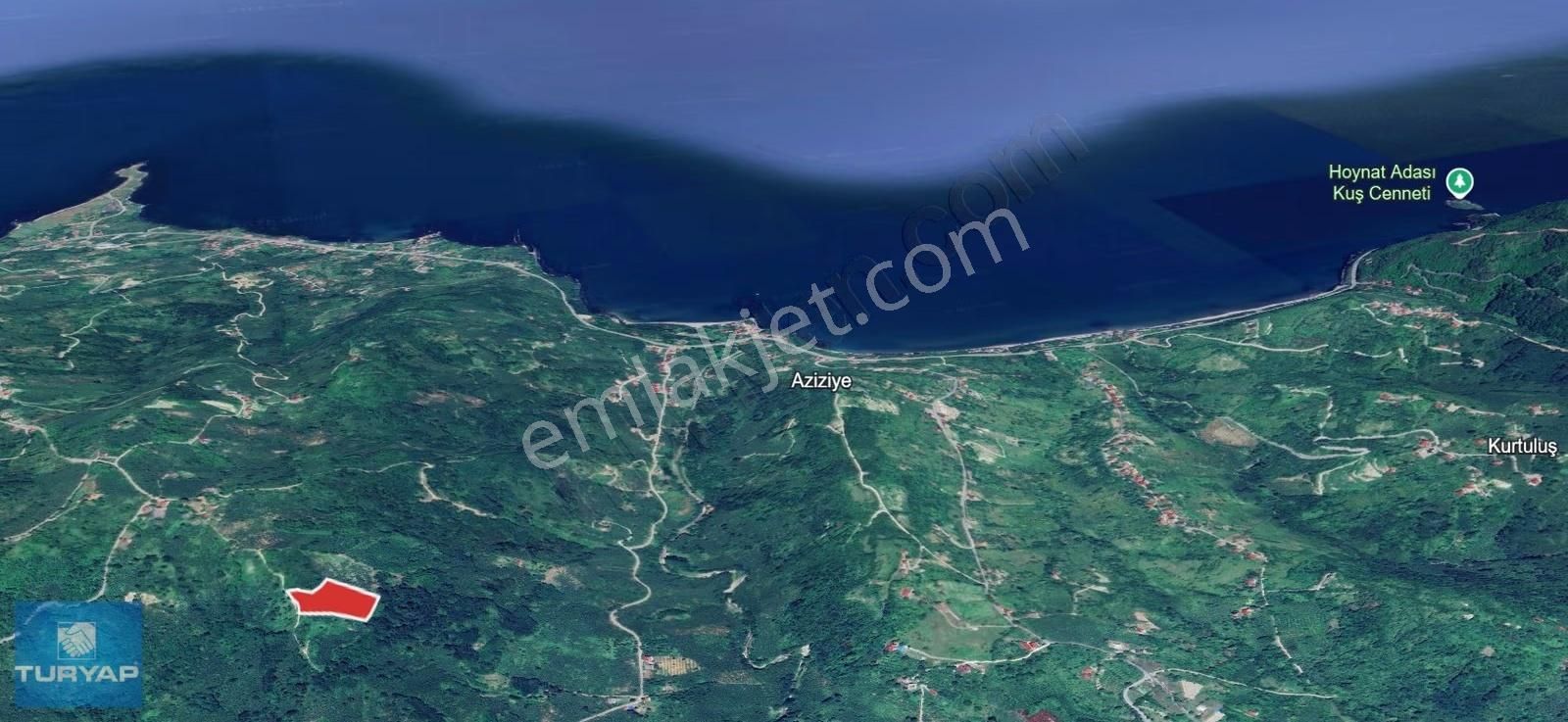 Yason Yarımadasında Parsellenebilir Satılık 7825 M2. Bahçe. - Görsel 11