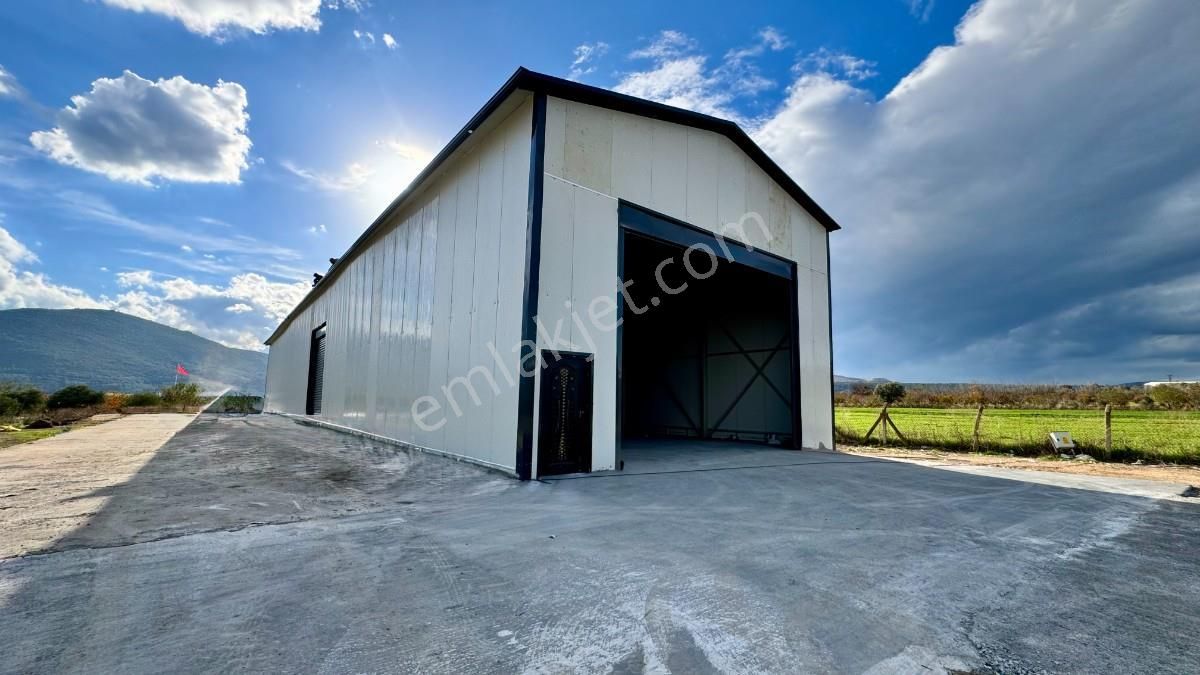 Kemalpaşa Ulucakda 7800 M2 Açık 460 M2 Kapalı Kiralık Depo - Görsel 6
