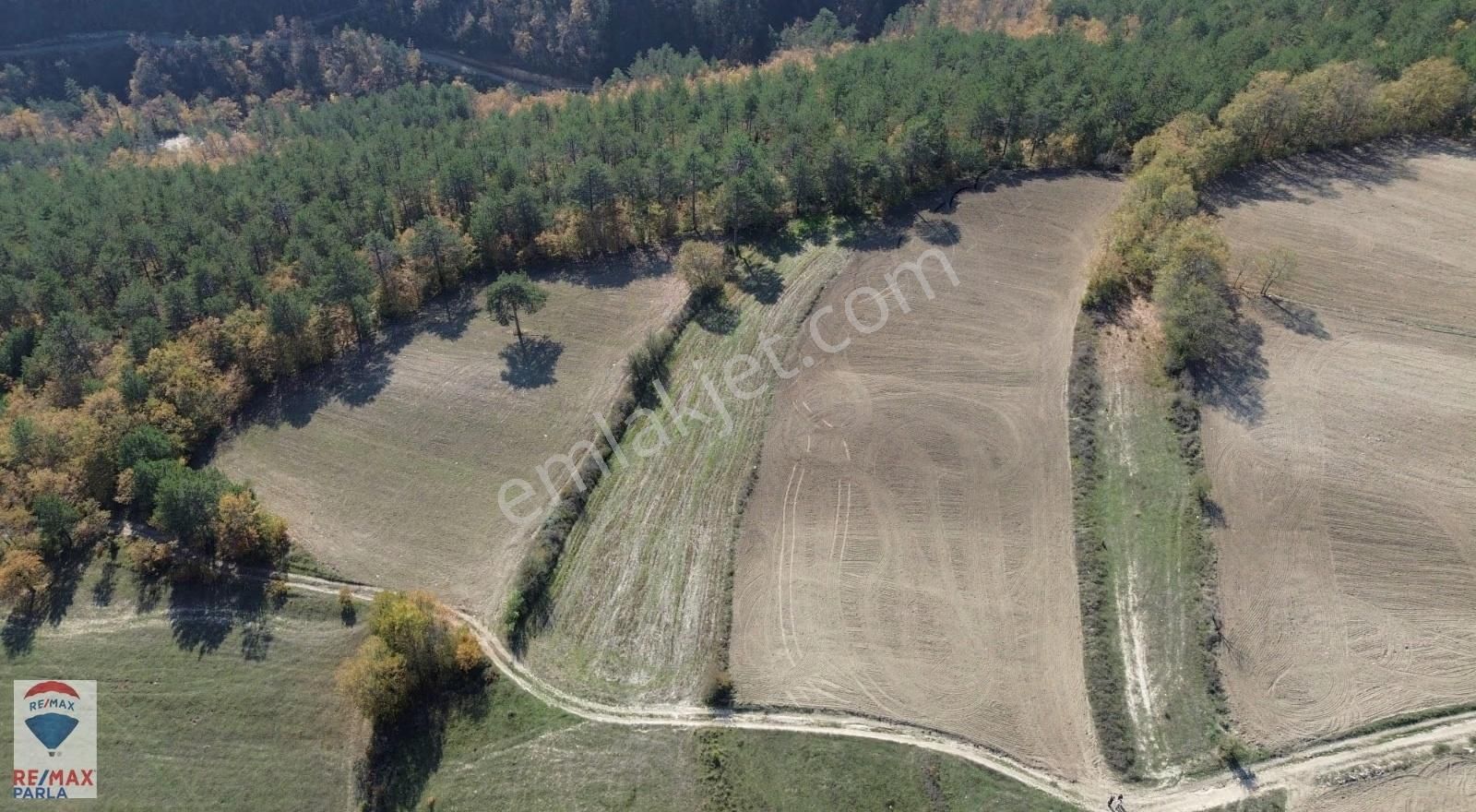 Remax Murat Atakum Güney Mahallesinde 2900 M2 Yatırımlık Tarla - Görsel 3