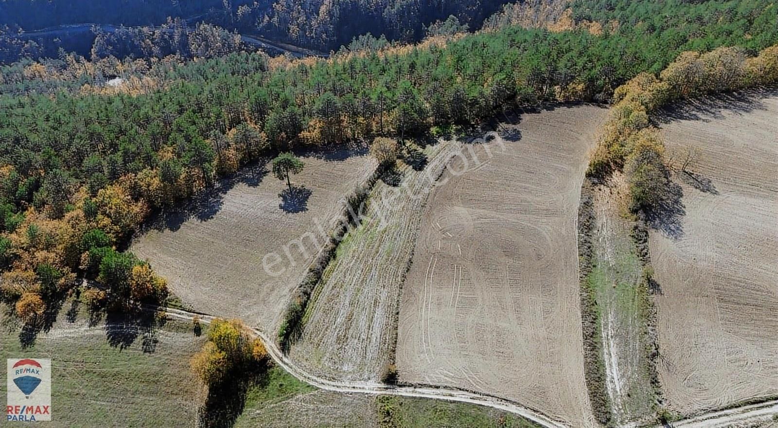 Remax Murat Atakum Güney Mahallesinde 2900 M2 Yatırımlık Tarla - Görsel 9