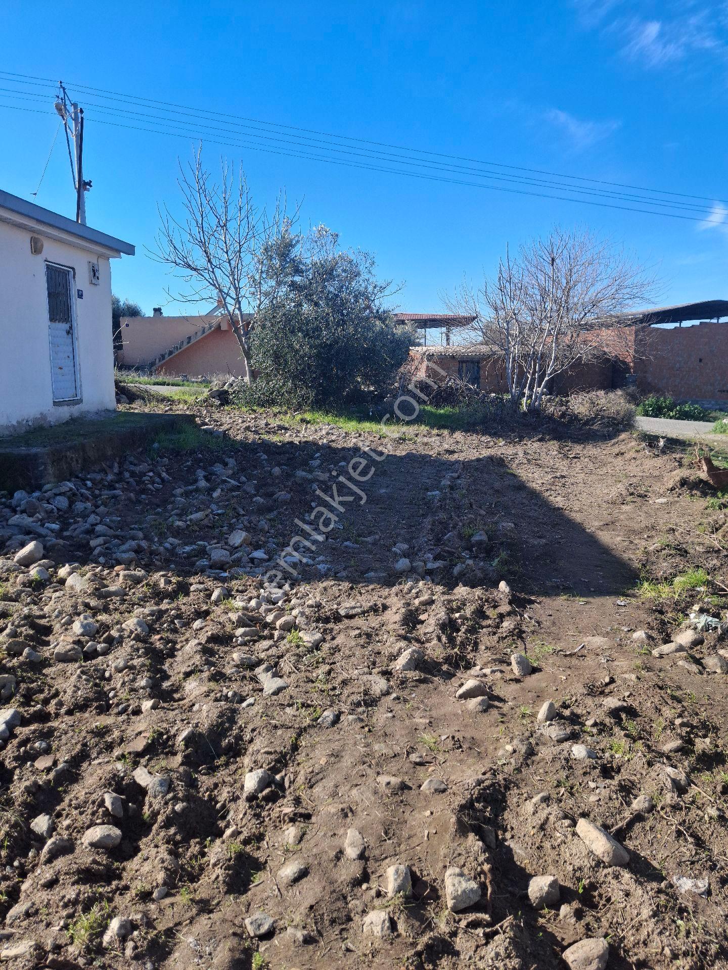 Kuyucak Karapınar Mahallesi Konut İmarlı İçinde Evi Olan Zeytinlikli Arsa 1376 M² - Görsel 10