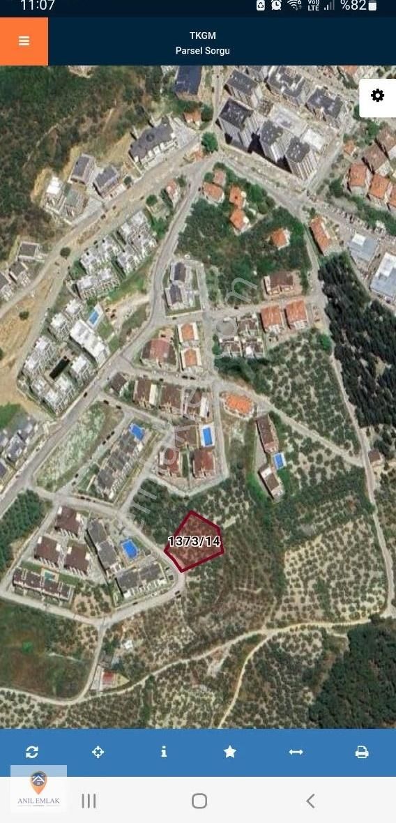 Anıl Emlak'tan Mudanya Ömerbey İmar Sınırında 1786 M2 Zeytinlik - Görsel 4