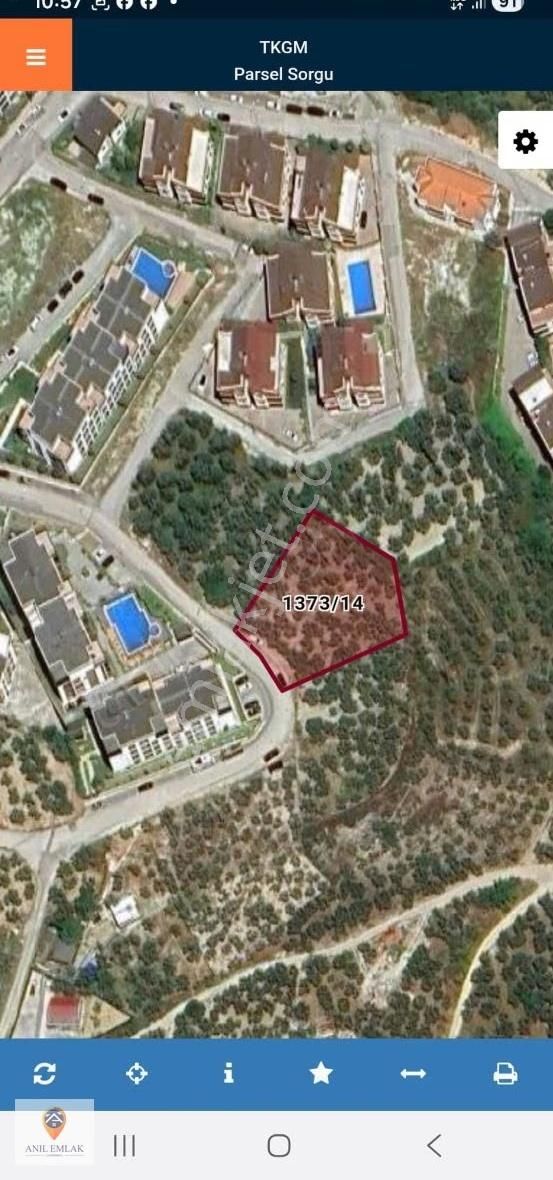 Anıl Emlak'tan Mudanya Ömerbey İmar Sınırında 1786 M2 Zeytinlik