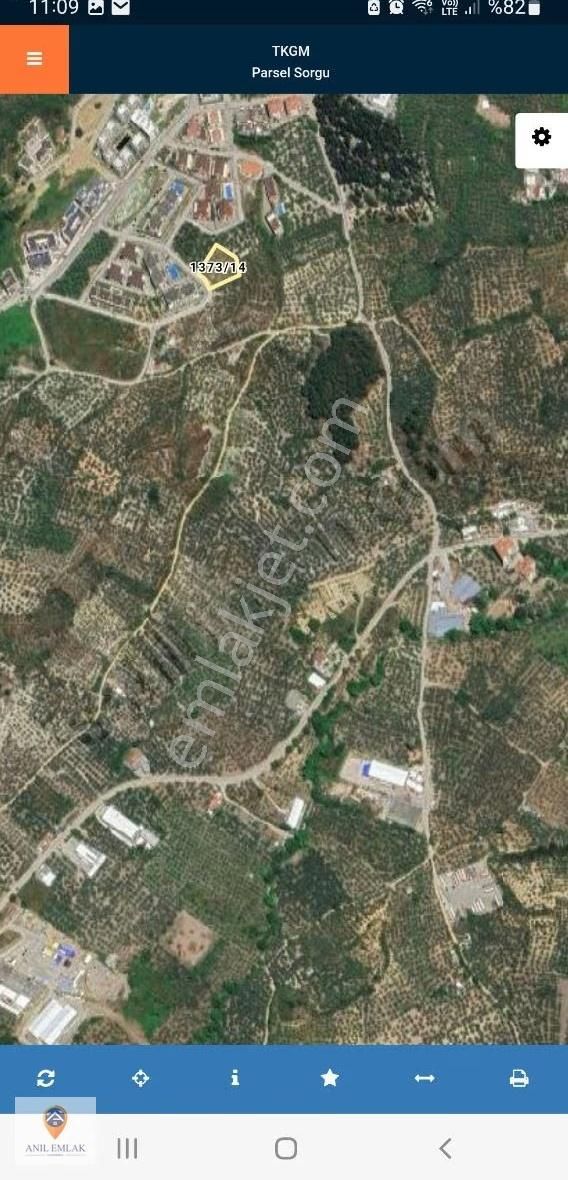 Anıl Emlak'tan Mudanya Ömerbey İmar Sınırında 1786 M2 Zeytinlik - Görsel 6