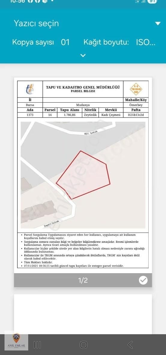 Anıl Emlak'tan Mudanya Ömerbey İmar Sınırında 1786 M2 Zeytinlik - Görsel 5