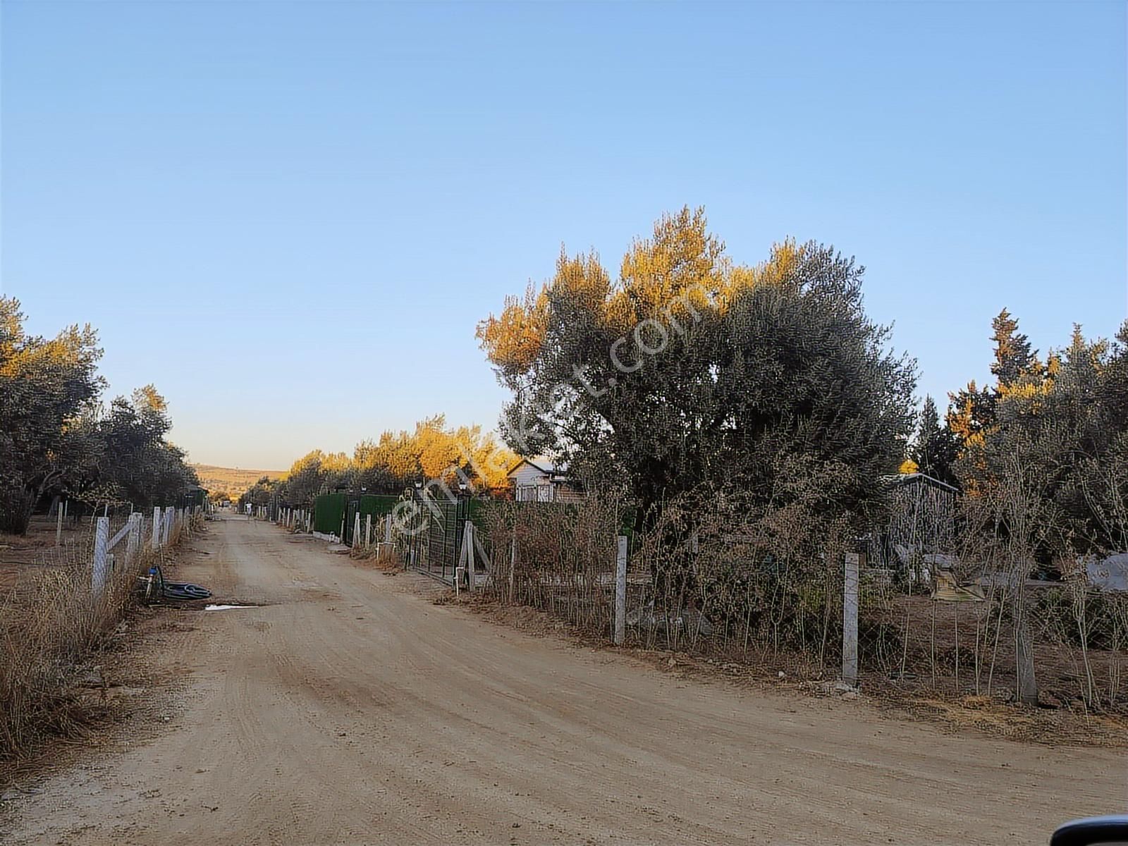 Menderes Develi De Fırsat Bahçe - Görsel 5