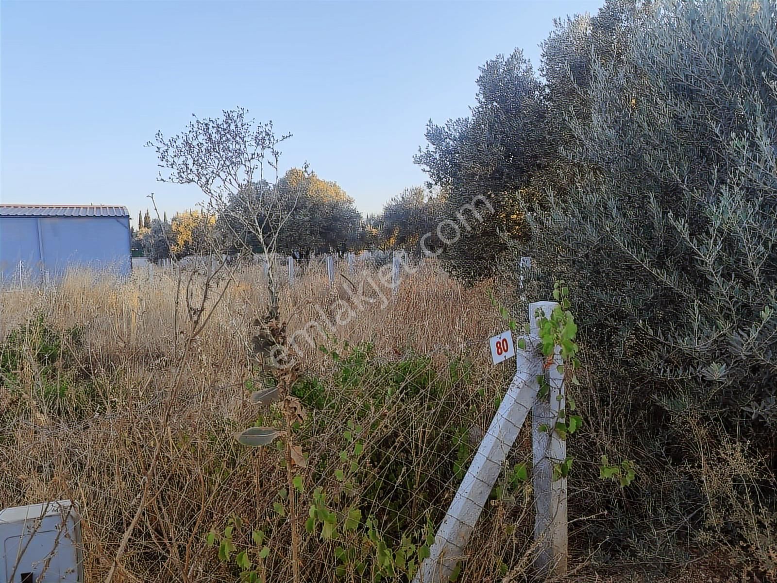 Menderes Develi De Fırsat Bahçe - Görsel 6