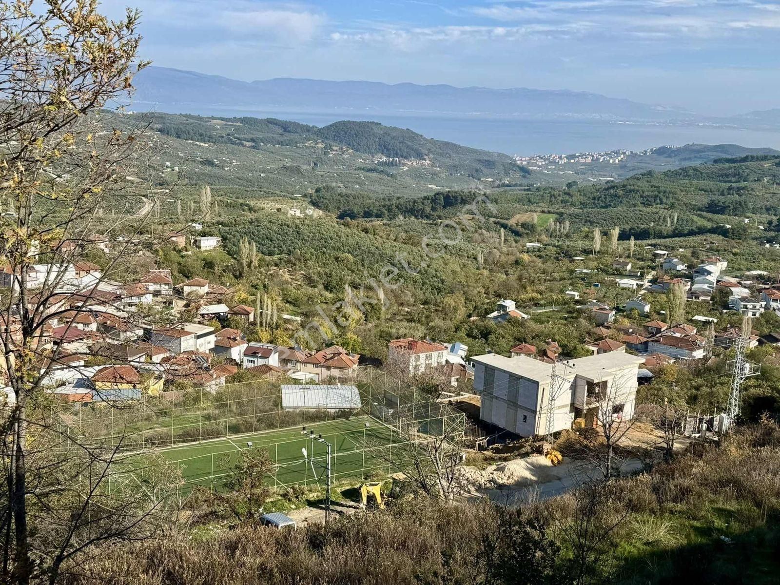 Mudanya Çepnide Full Deniz Manzaralı Satılık Arsa - Görsel 4