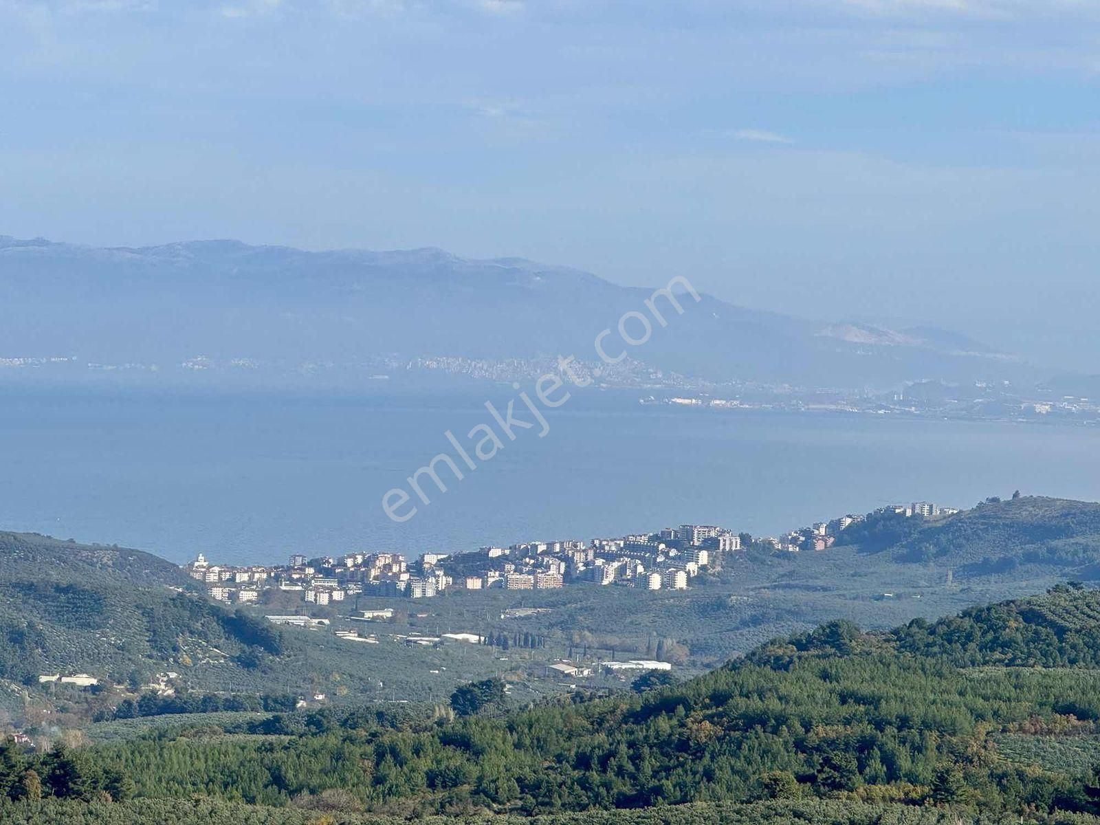 Mudanya Çepnide Full Deniz Manzaralı Satılık Arsa - Görsel 9