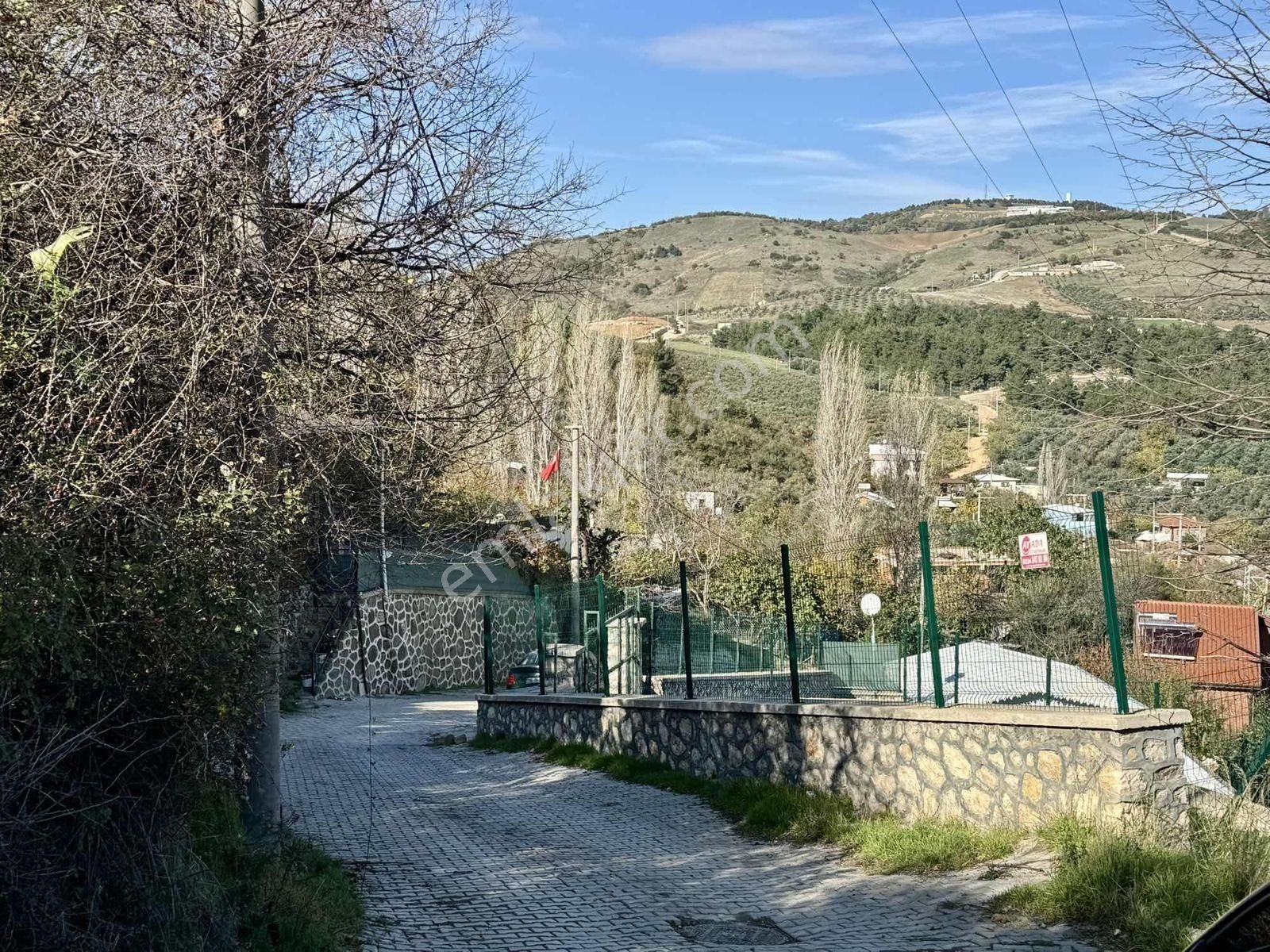 Mudanya Çepnide Full Deniz Manzaralı Satılık Arsa - Görsel 11