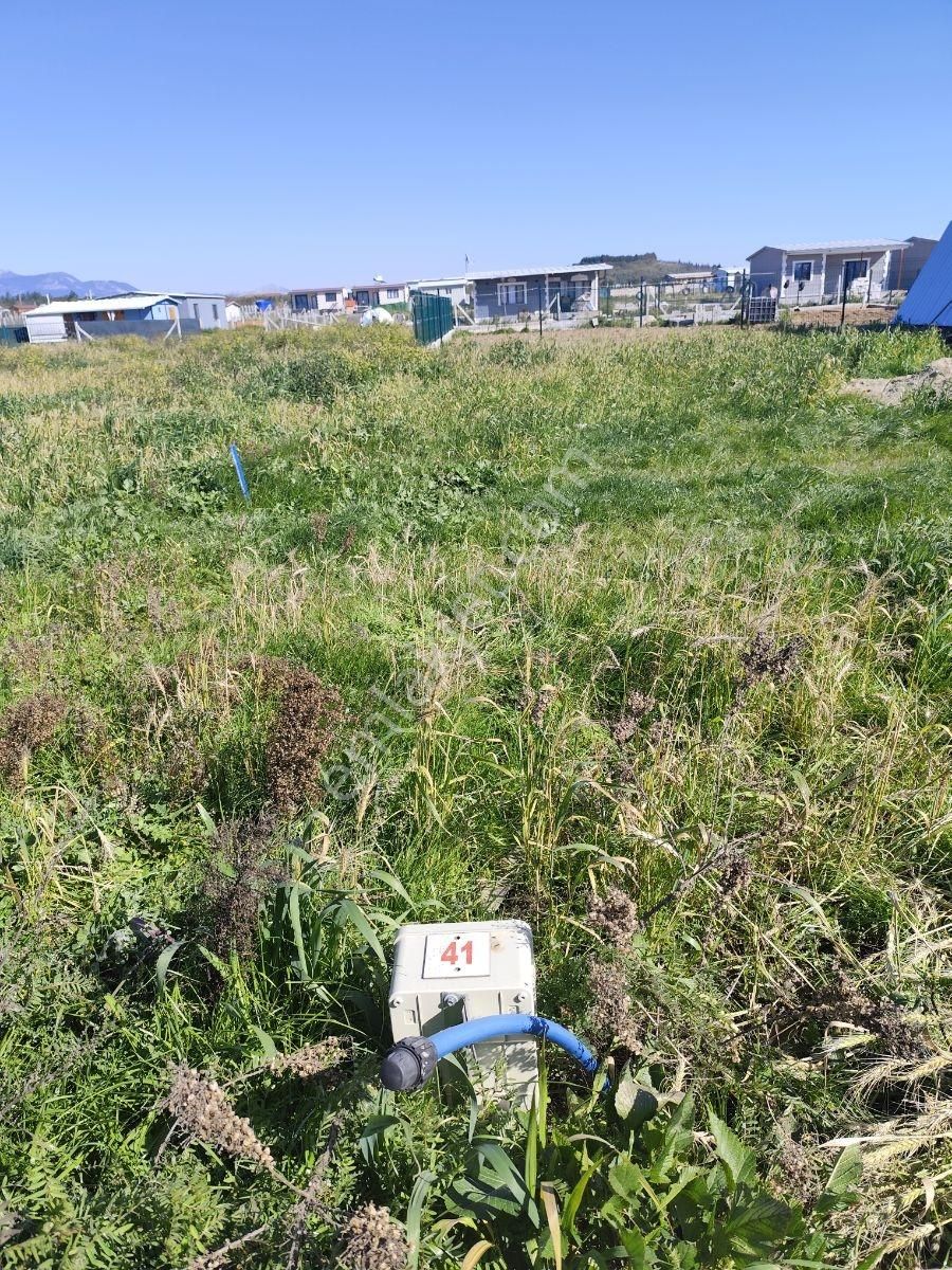 Menderes Kısık'ta Harika Bahçe - Görsel 5