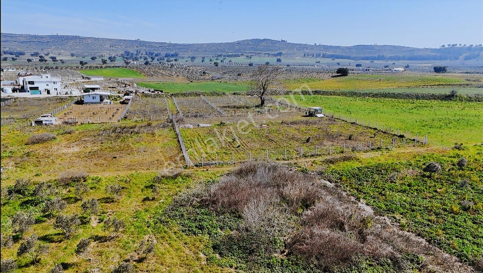 Menderes Develide Tek Tapu Müstakil Parsel Bahçe - Görsel 2