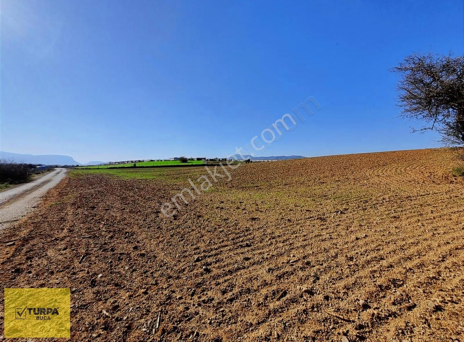 Turpa Buca'dan Kadastral Yol Cepheli Köy Merkezi Yakınında Tarla - Görsel 3