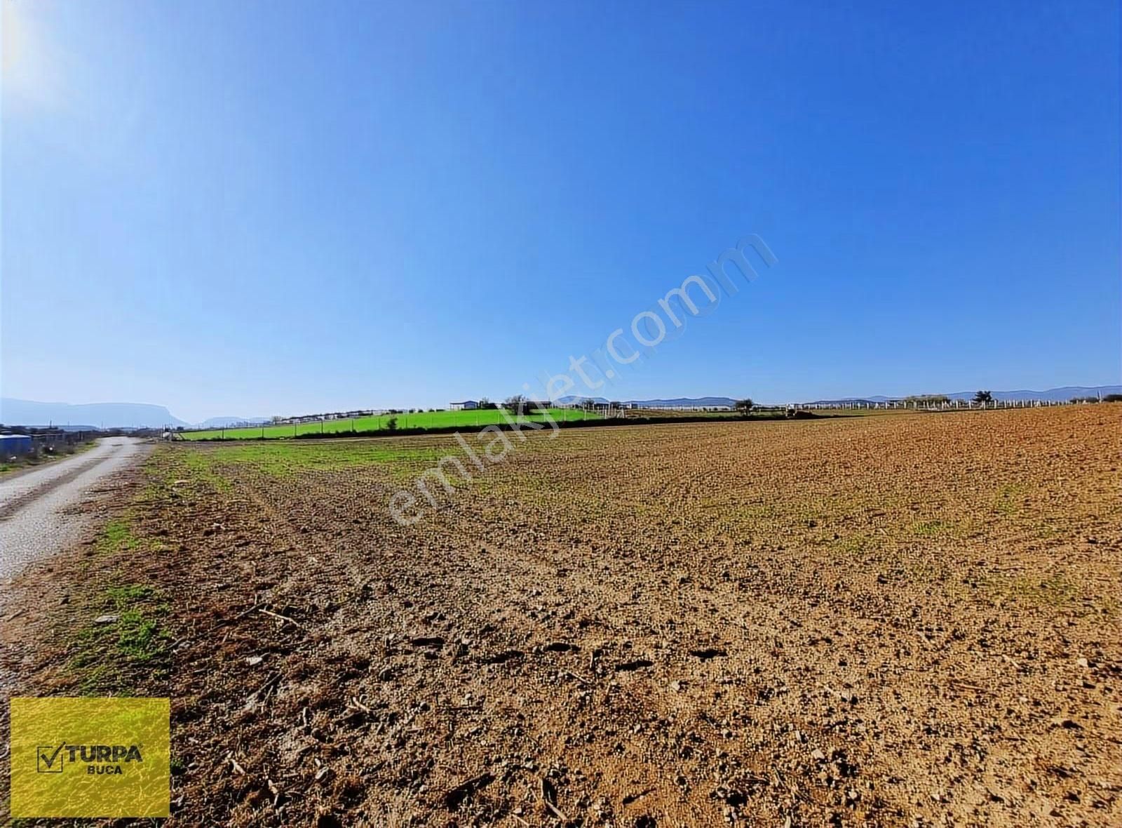 Turpa Buca'dan Kadastral Yol Cepheli Köy Merkezi Yakınında Tarla - Görsel 13