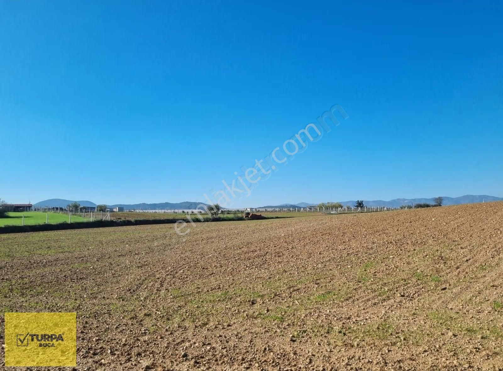 Turpa Buca'dan Kadastral Yol Cepheli Köy Merkezi Yakınında Tarla - Görsel 7