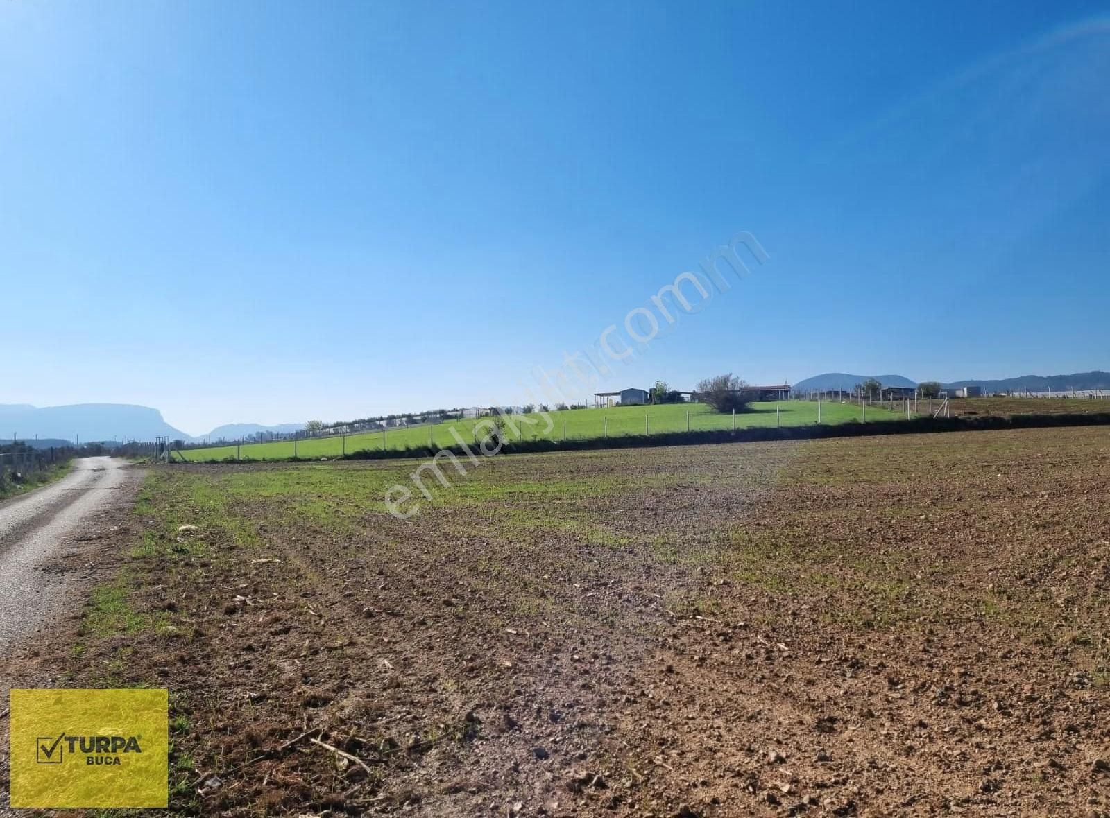 Turpa Buca'dan Kadastral Yol Cepheli Köy Merkezi Yakınında Tarla - Görsel 9