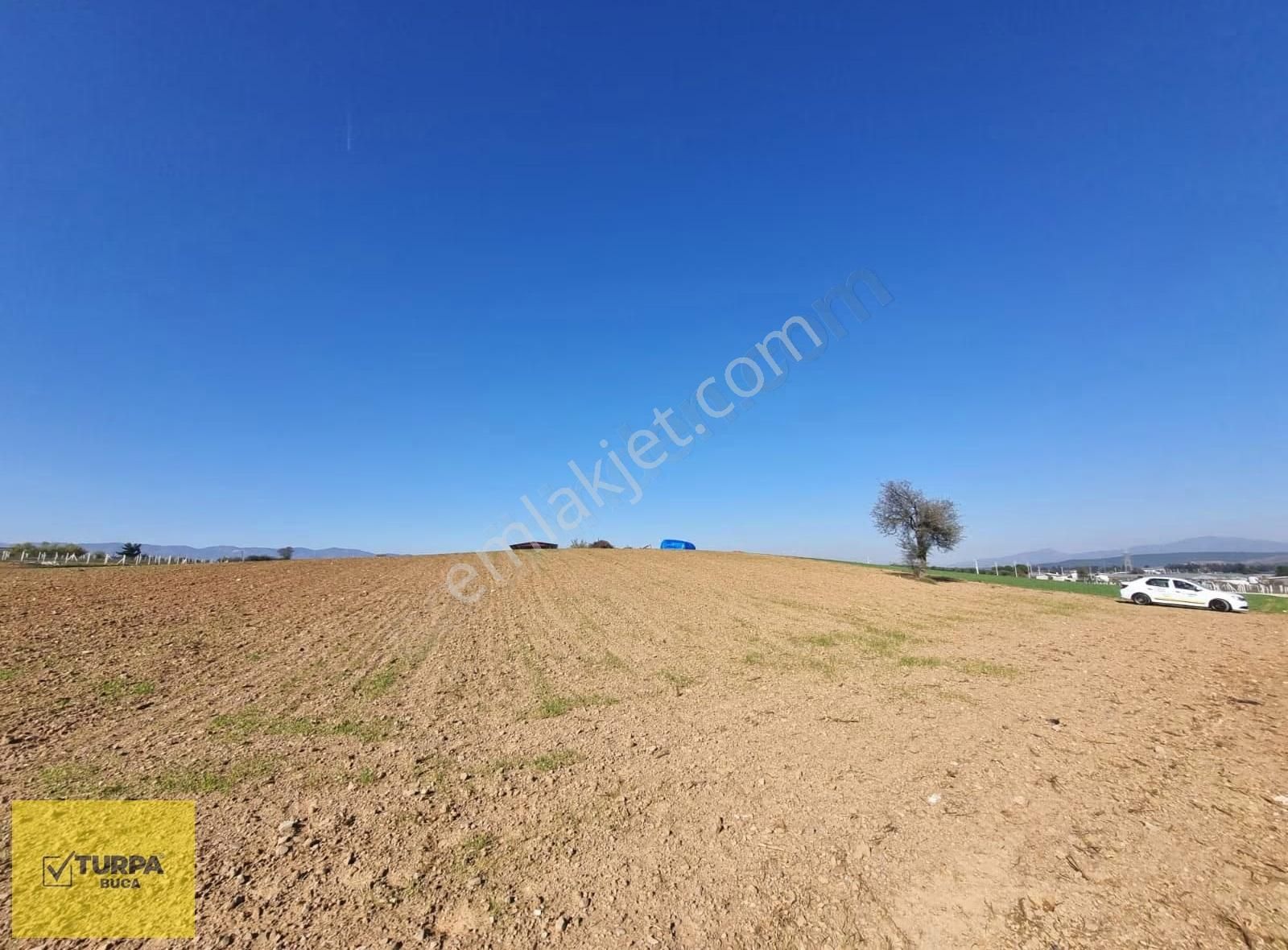 Turpa Buca'dan Kadastral Yol Cepheli Köy Merkezi Yakınında Tarla - Görsel 10